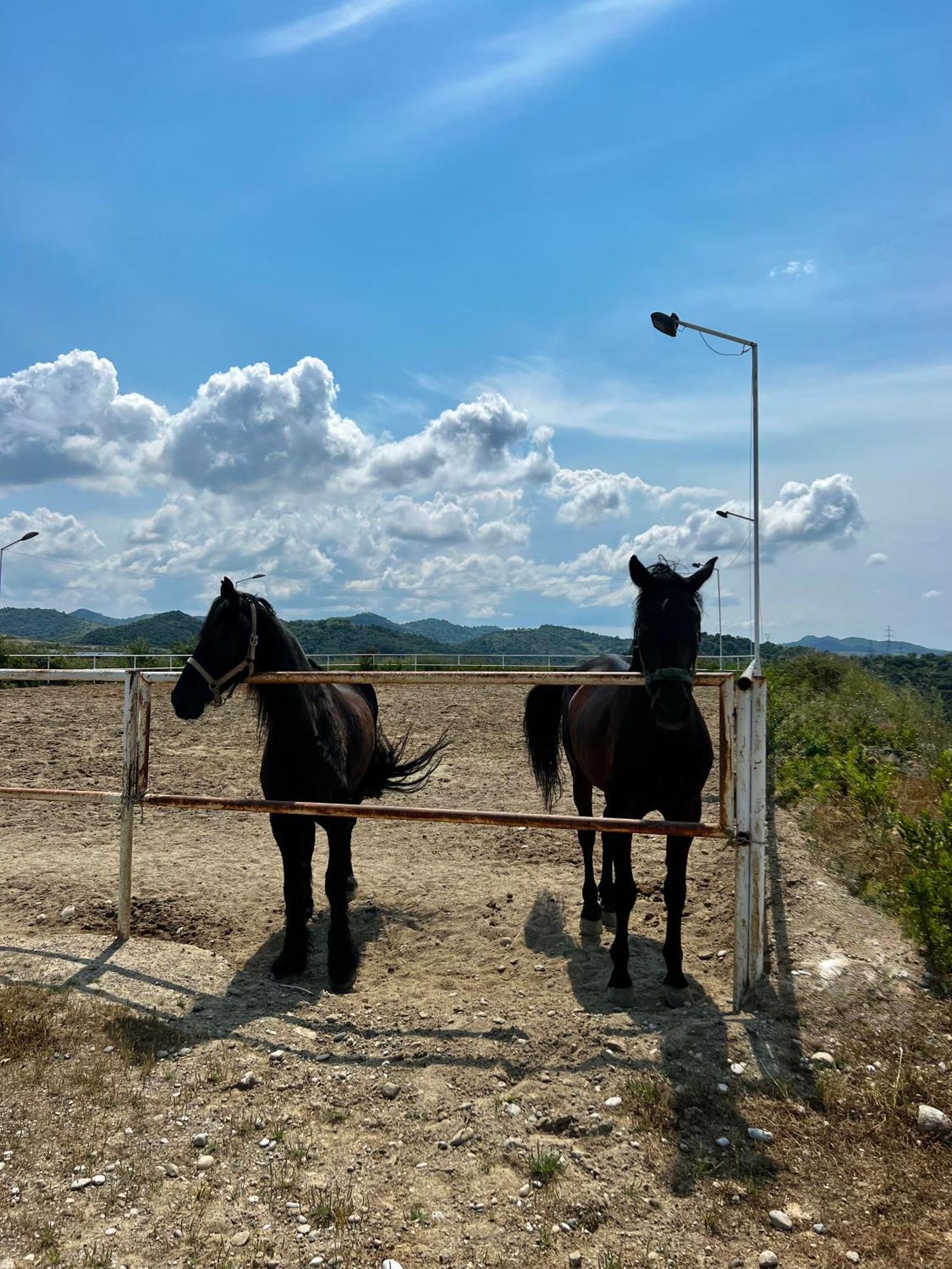 Villa Esmi Durres Kryemedhej Luaran gambar